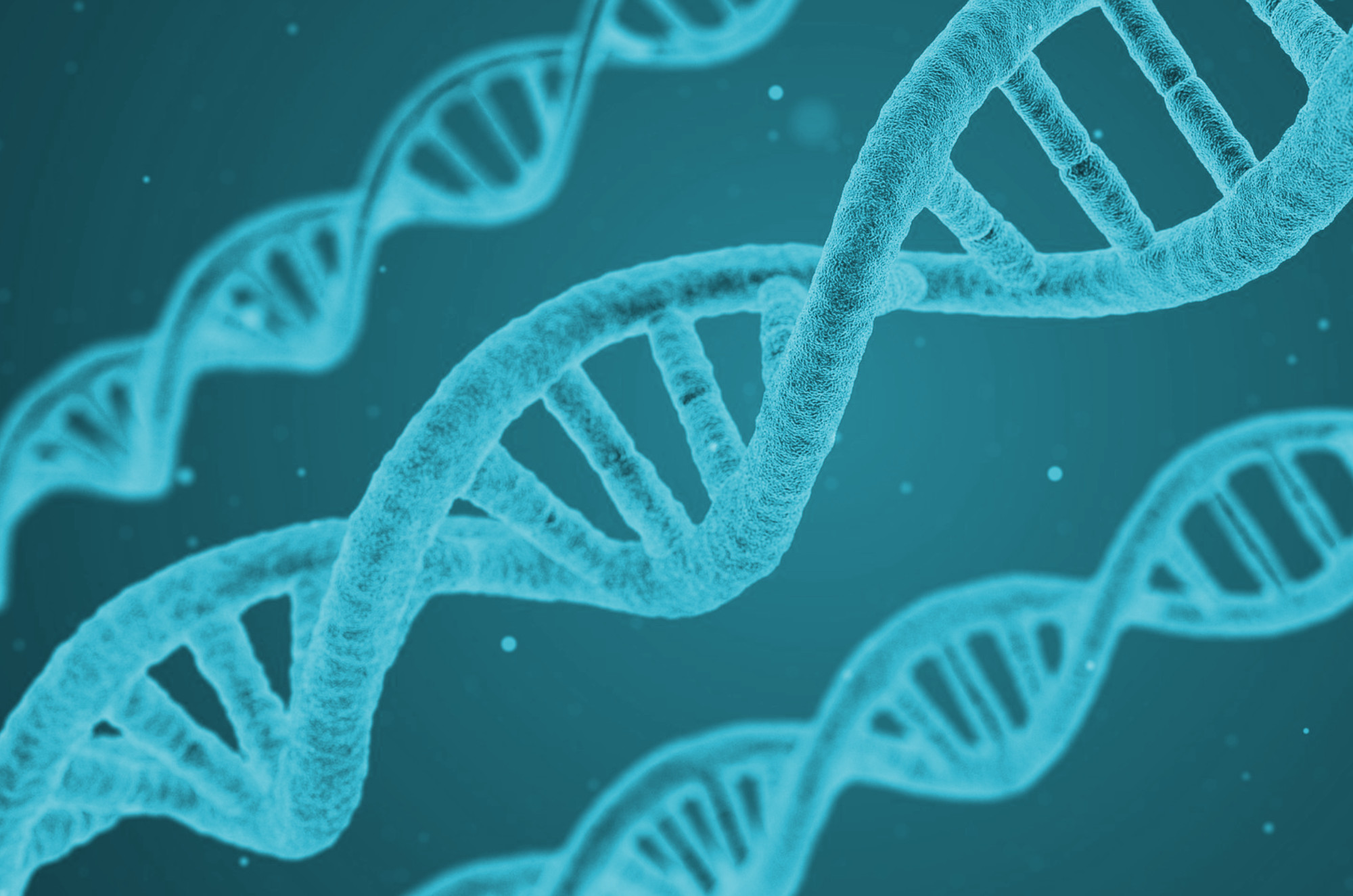 DNA Medizintechnik Markenrecht